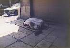 photo1990_017