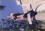 photo1990_031