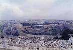 photo1990_042