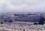 photo1990_043