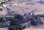 photo1990_098