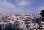 photo1990_121