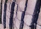 photo1990_137