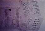 slide039_013