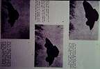 slide039_024